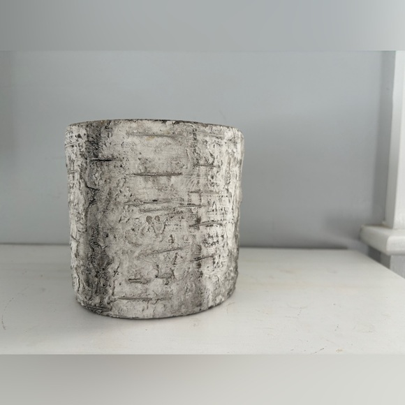 White Birch Textured Cylinder Planter Pot - Picture 2 of 8